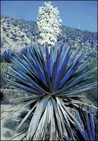 1573784952v2-6e2ac8010f676d51c7febec158b3a89b_hd.jpg?size=21921