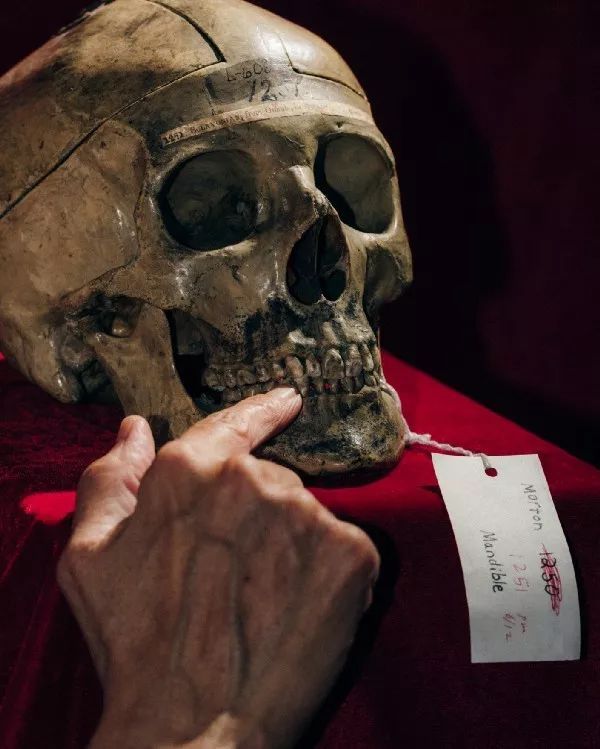 1573780786v2-a61833edeea6d107eab3967209342ddd_hd.jpg?size=58808