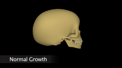 1573780909v2-9ed709a5d0dcd1c06c0eed7acdcfe16d_b.gif?size=97917