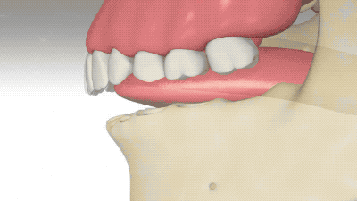 1573781042v2-efc3d98a83a373be835d0b6e6b70e33e_b.gif?size=215262