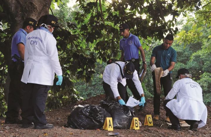 1577157751v2-07c64fe079014c0edc6a70c56997dbc8_hd.jpg?size=84125