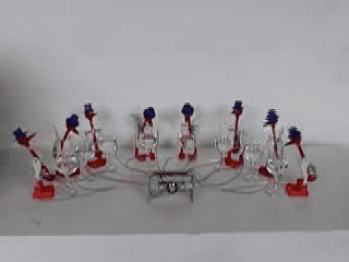 1569297453%E9%B8%9F9.gif?size=772212